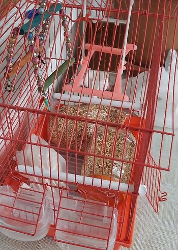 kuş kafesi - Görsel 13