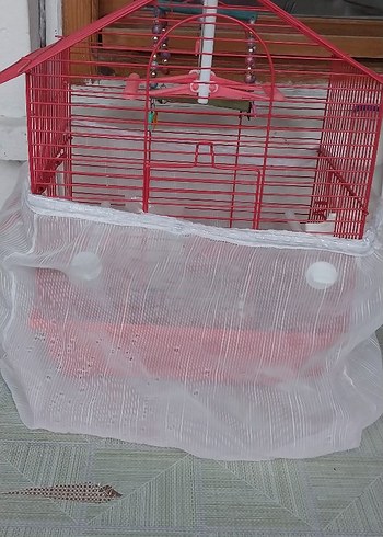 kuş kafesi - Görsel 15