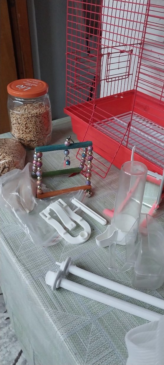 kuş kafesi - Görsel 2