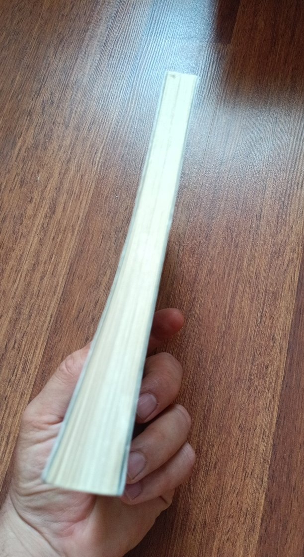 Biz Ölümden Doğacağız - Gökhan İneşi - Görsel 3