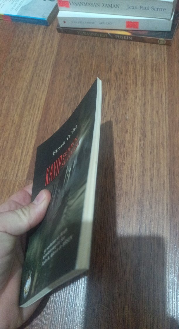 Kayıp Şehrin Sevdası - Birsen Yıldız - Görsel 3