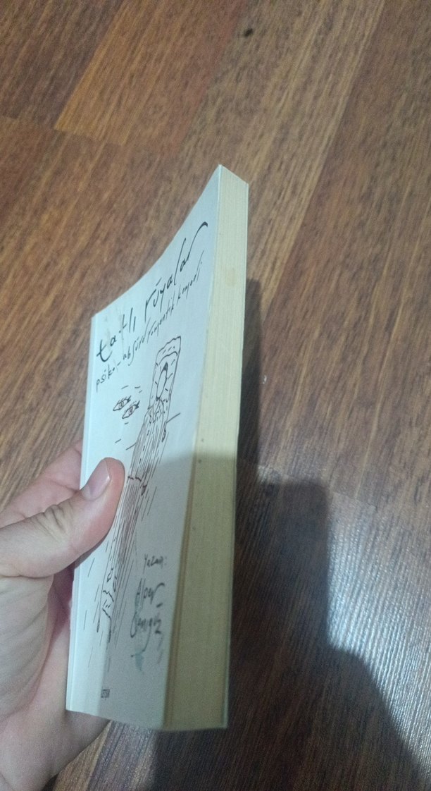 Tatlı Rüyalar - Alpen Canıgüz - Görsel 3