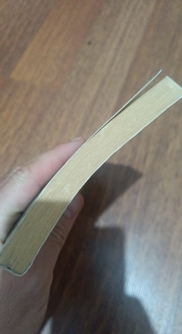 Tatlı Rüyalar - Alpen Canıgüz - Görsel 5