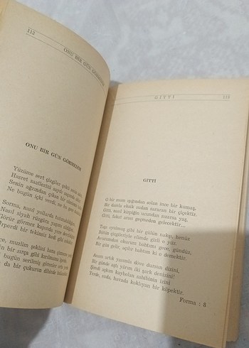 Bir Ömür Böyle Geçti - Faruk Nafiz Çamlıbel - Görsel 6