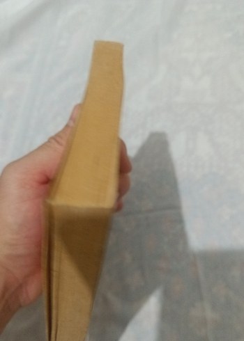 Bir Ömür Böyle Geçti - Faruk Nafiz Çamlıbel - Görsel 4