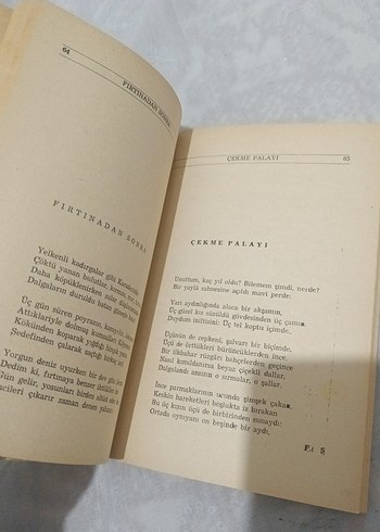 Bir Ömür Böyle Geçti - Faruk Nafiz Çamlıbel - Görsel 8