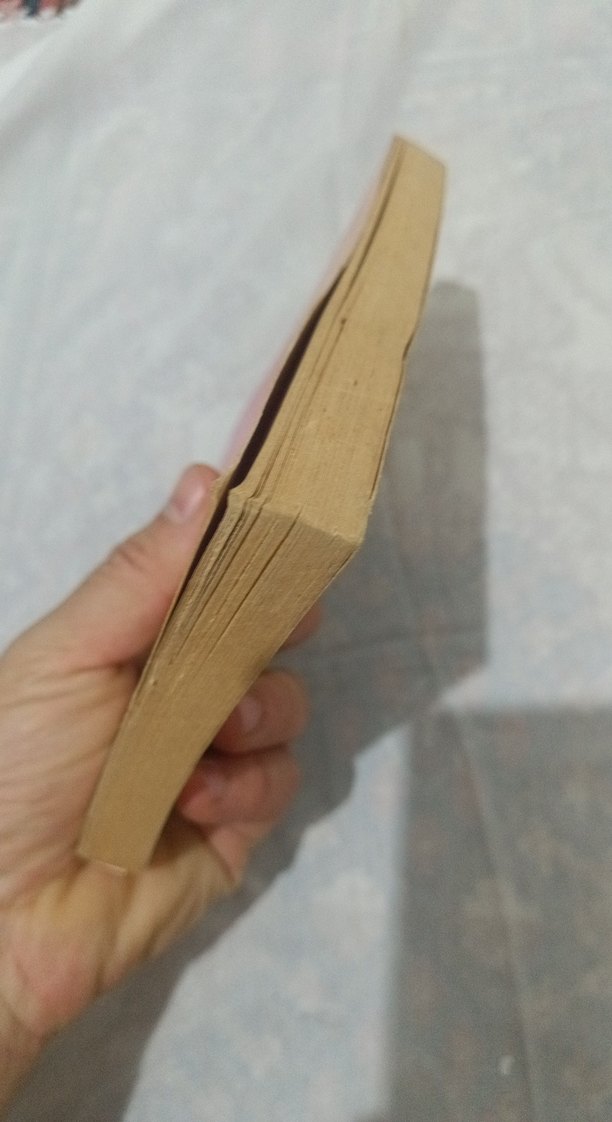 Bir Ömür Böyle Geçti - Faruk Nafiz Çamlıbel - Görsel 3