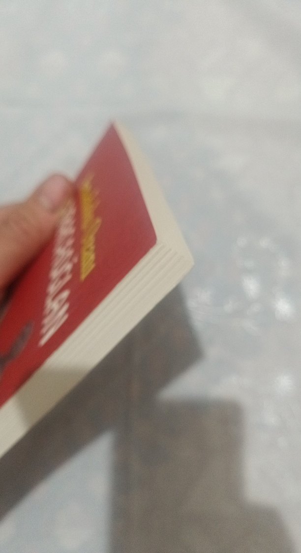 Anadolu Ozani Karacaoğlan - Rıza Süreyya - Görsel 4