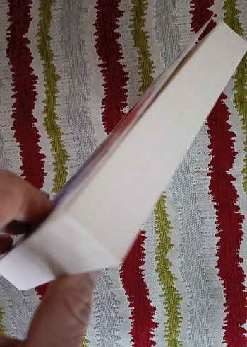 Öznur İlter - Kokun Yalan Söylemez Romanı - Görsel 3