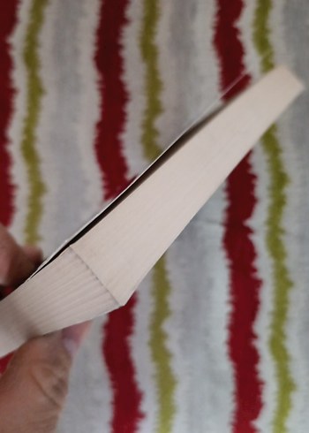 Elmanın Öbür Yarası - Hanzade Servi - Görsel 3