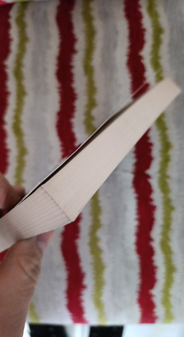 Elmanın Öbür Yarası - Hanzade Servi - Görsel 3