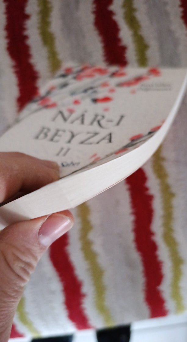 Nar-ı Beyza II "Ağaç"ın Sabrı - Rana Beyza Değirmenci - Görsel 3