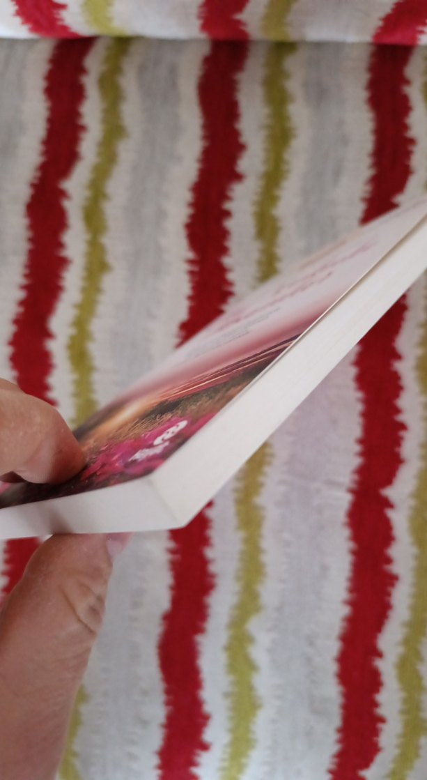 Gül Kokulu Akşamlar - Manevi Gelişim Yolculuğu 2 - Görsel 3