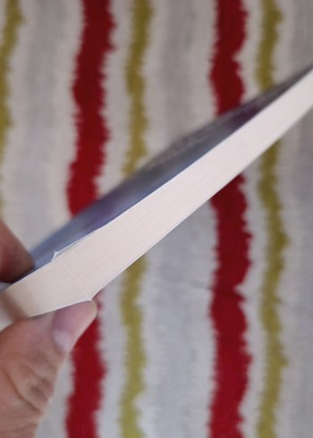 Efendimiz'den Dualar - Süheyl Seçkinoğlu - Görsel 3