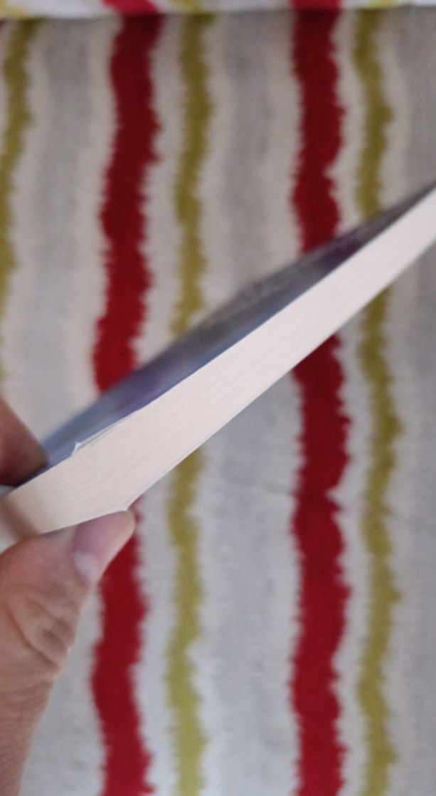 Efendimiz'den Dualar - Süheyl Seçkinoğlu - Görsel 3