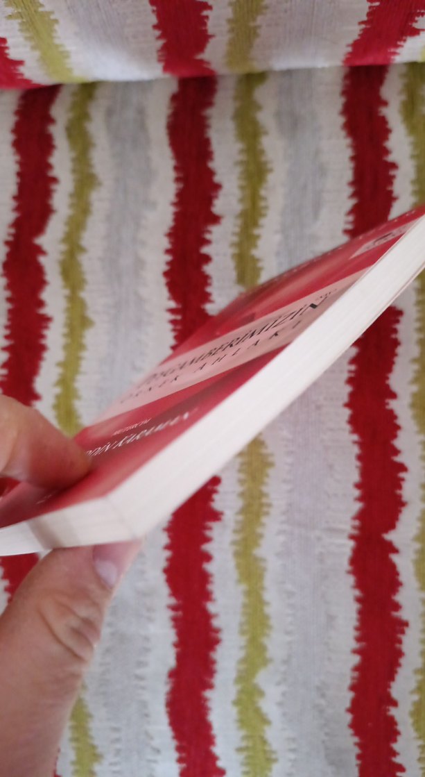 Peygamberimizin Örnek Ahlakı - Abdurrahman Azzam - Görsel 3