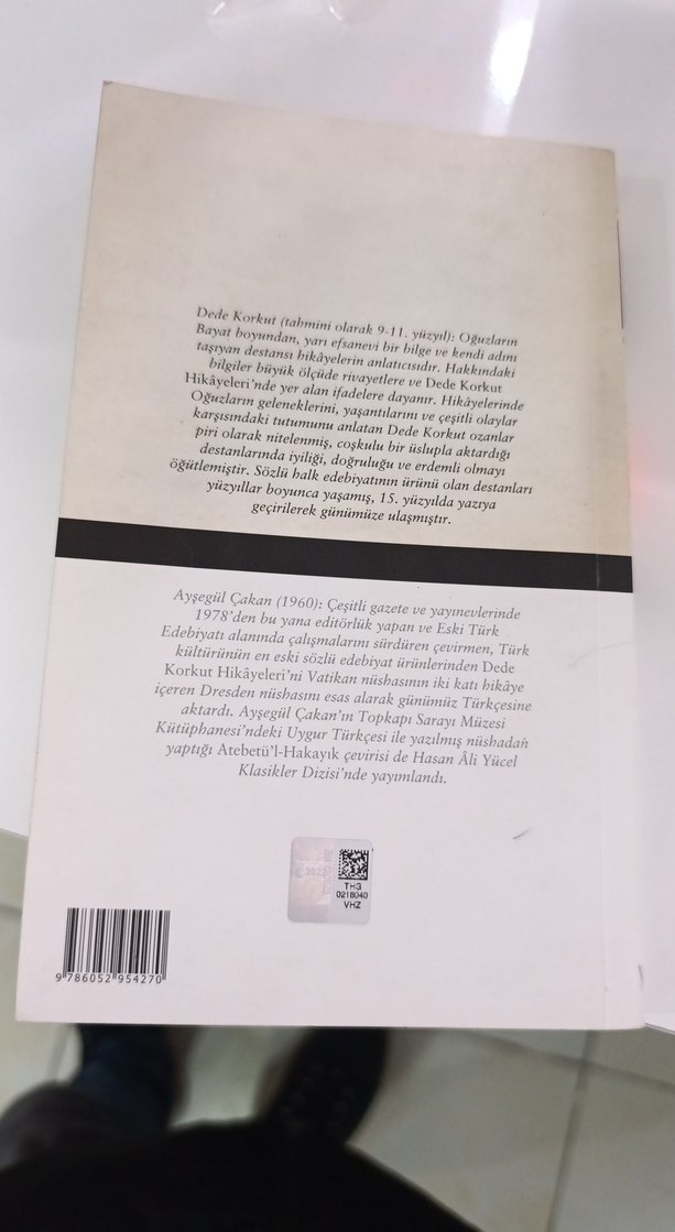 Dede Korkut Hikayeleri - Hasan Ali Yücel Dizisi - Görsel 2