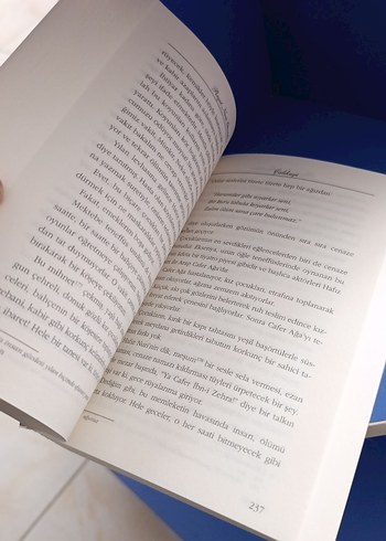 Çalıkuşu - Reşat Nuri Güntekin - Görsel 5