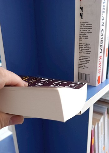 Çalıkuşu - Reşat Nuri Güntekin - Görsel 3