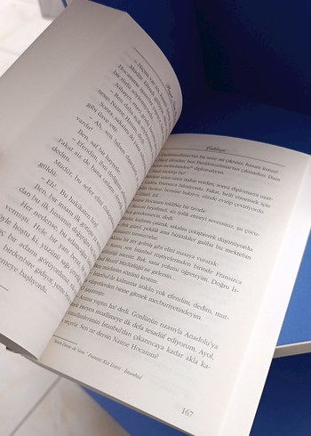 Çalıkuşu - Reşat Nuri Güntekin - Görsel 6