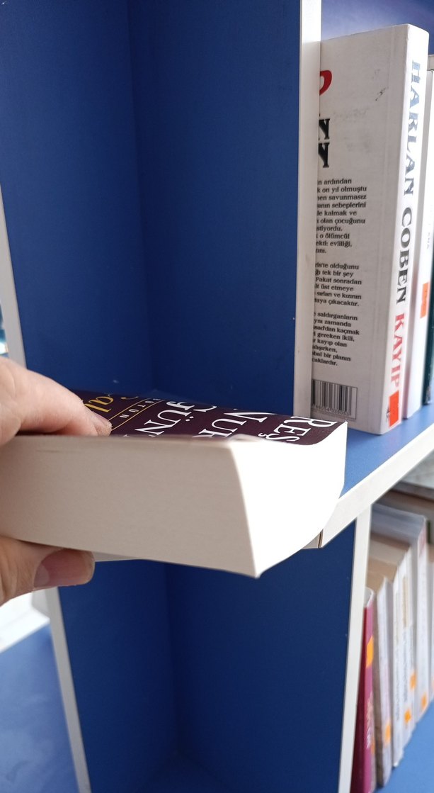 Çalıkuşu - Reşat Nuri Güntekin - Görsel 3