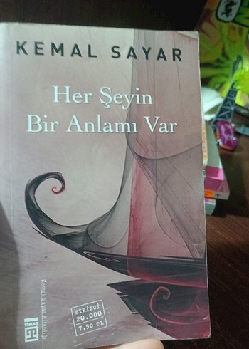Her Şeyin Bir Anlamı Var - Kemal Sayar