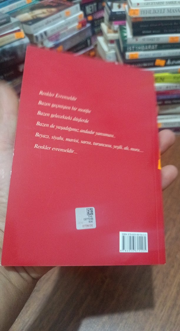 Serseri Günlüm Döndün mü? - Birsan Tantıkçıoğlu - Görsel 2