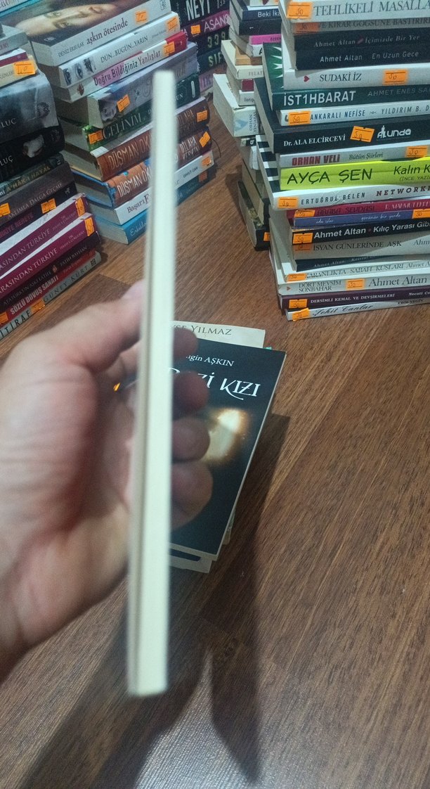 Serseri Günlüm Döndün mü? - Birsan Tantıkçıoğlu - Görsel 3