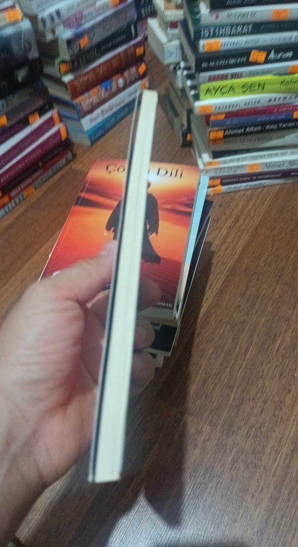 Leyla ile Mecnun - Sezai Karakoç - Görsel 3