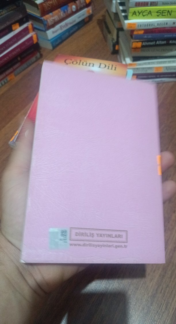 Leyla ile Mecnun - Sezai Karakoç - Görsel 2