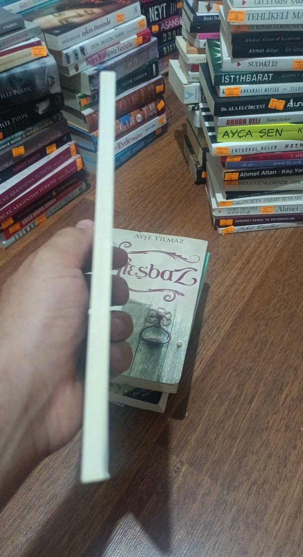 Gelsen de Artik Geç Kalınmışlıklara - Şeref Özsoy - Görsel 3