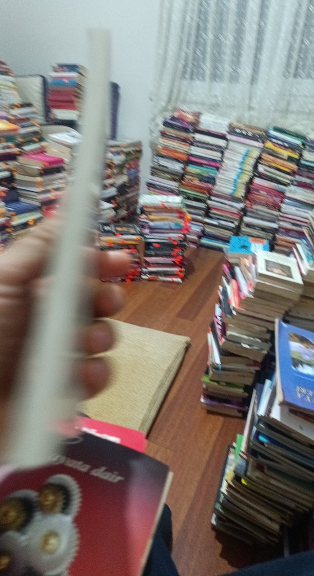 Han Duvarları - Faruk Nafiz Çamlıbel - Görsel 3