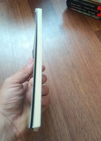 Karanfil - Sevval Altan - Görsel 3