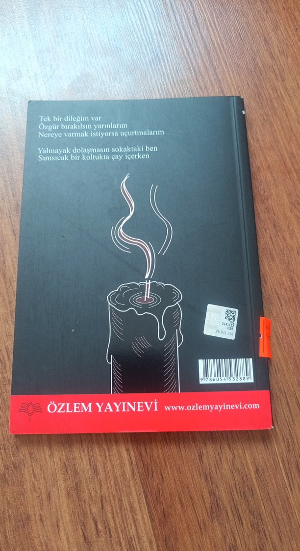 Karanfil - Sevval Altan - Görsel 2