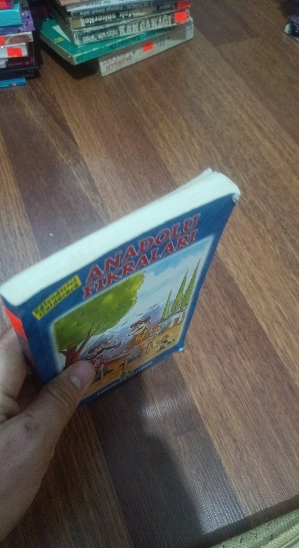 Anadolu Fıkraları Çocuk Kitabı - Görsel 5