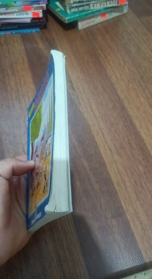 Anadolu Fıkraları Çocuk Kitabı - Görsel 3