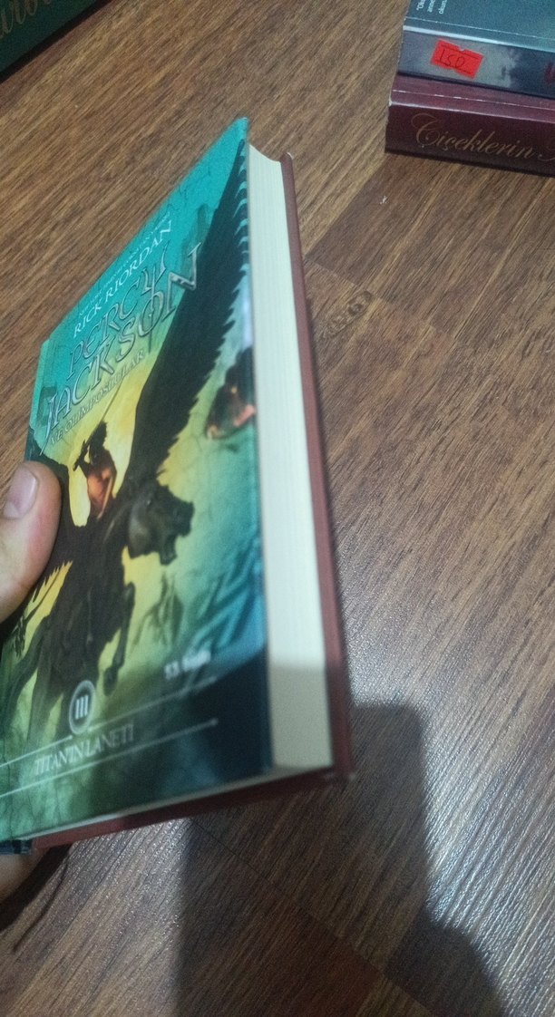 Percy Jackson ve Olimposlular - Titan'ın Laneti - Görsel 3