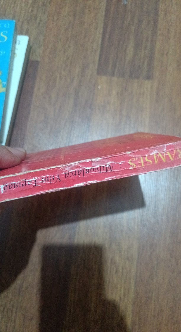 Ramses - Işığın Oğlu, kardeş savaşı, milyonlarca yılın tapınağı - Görsel 5