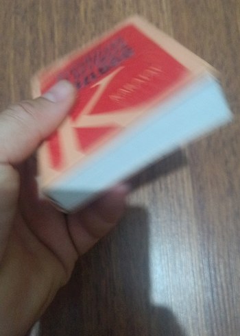 Yaşlanma ve Ölümün Sırları - Karatay - Görsel 4