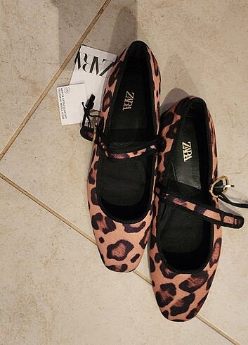 Zara leopar babet, yeni