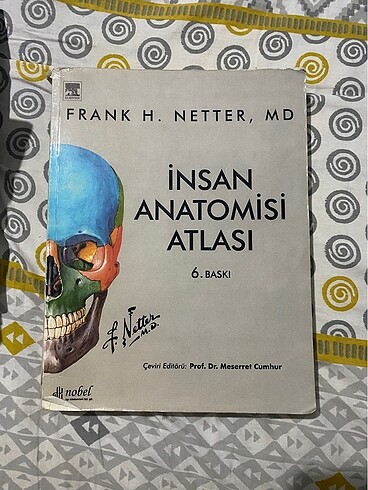 Netter anatomi atlası