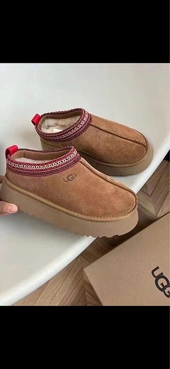 Ugg Terlik