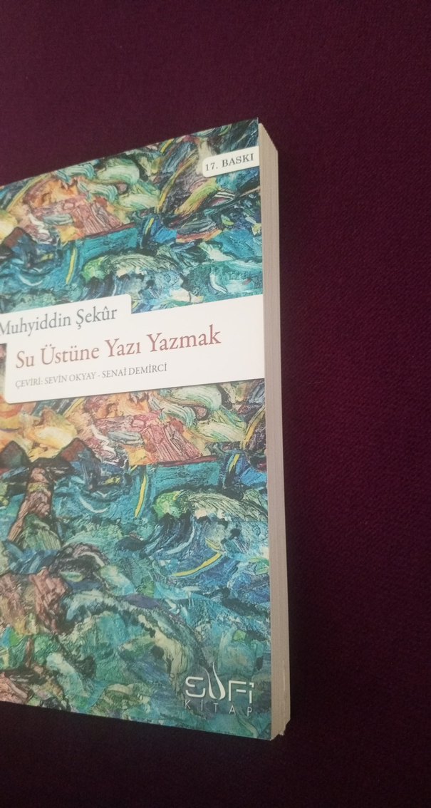 Su Üstüne Yazı Yazmak - Muhyiddin Şekür - Görsel 2