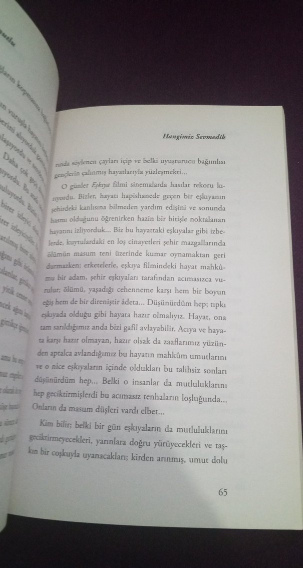 Hangimiz Sevmedik - Ethem Emin Nemutlu - Görsel 2