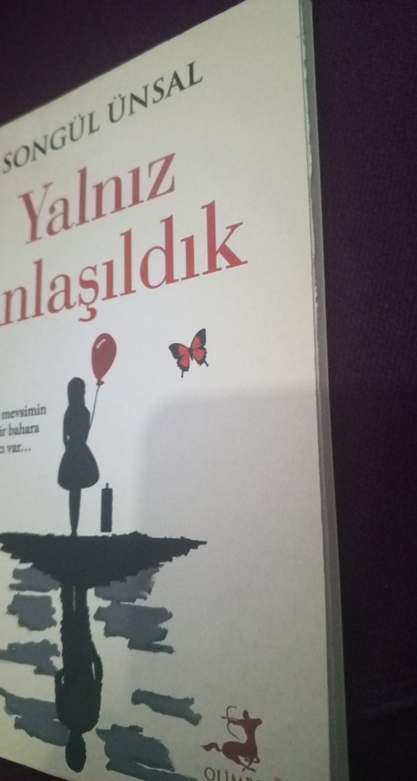 Yalnız Anlaşıldık - Songül Ünsal - Görsel 2