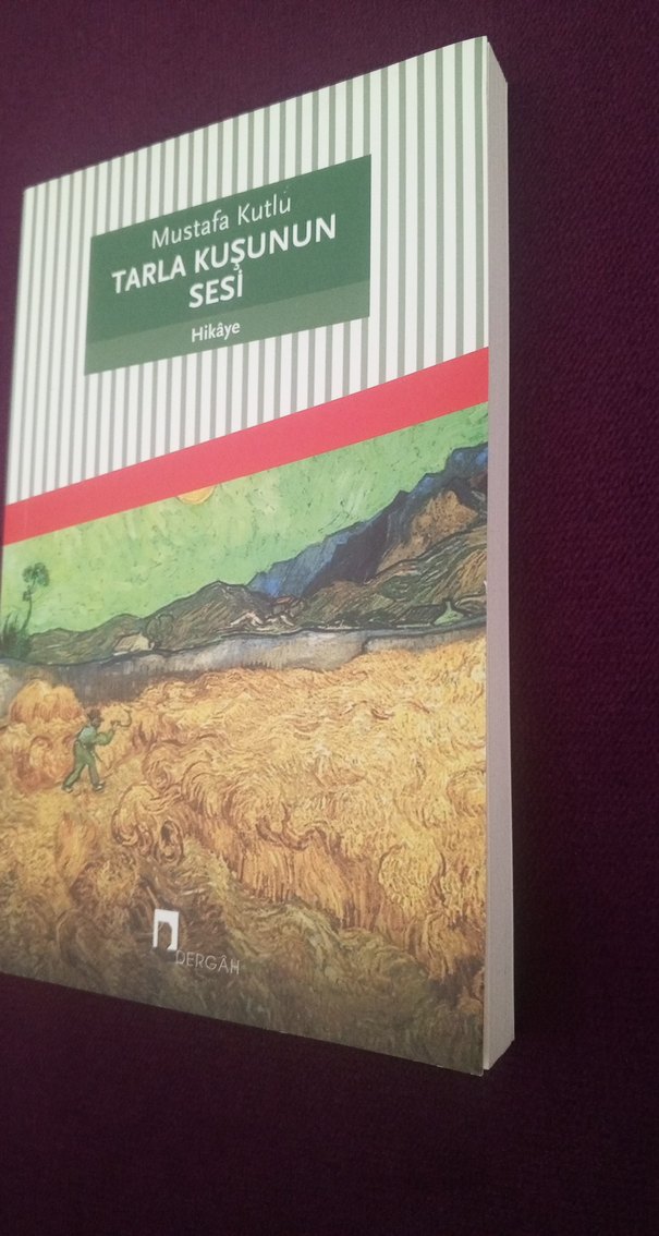 Tarla Kuşunun Sesi - Mustafa Kutlu - Görsel 2