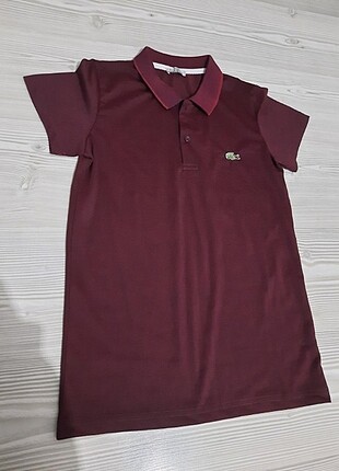 Lacoste tişört