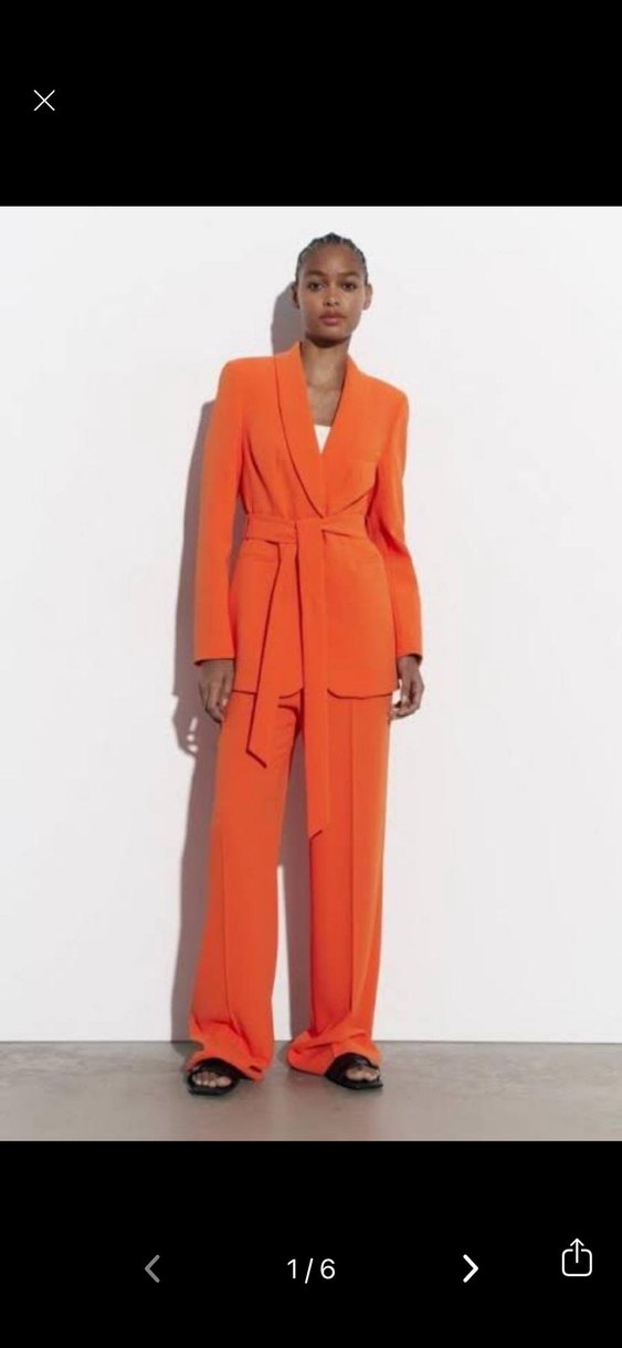 Zara ceket takım - Görsel 2