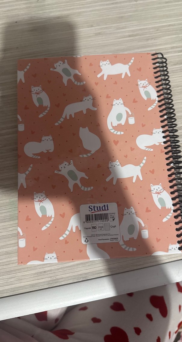 Pastel Pembe Kedi Desenli Spiralli Defter - Görsel 2