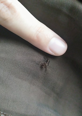m Beden kahverengi Renk Moila kahverengi tensel elbise